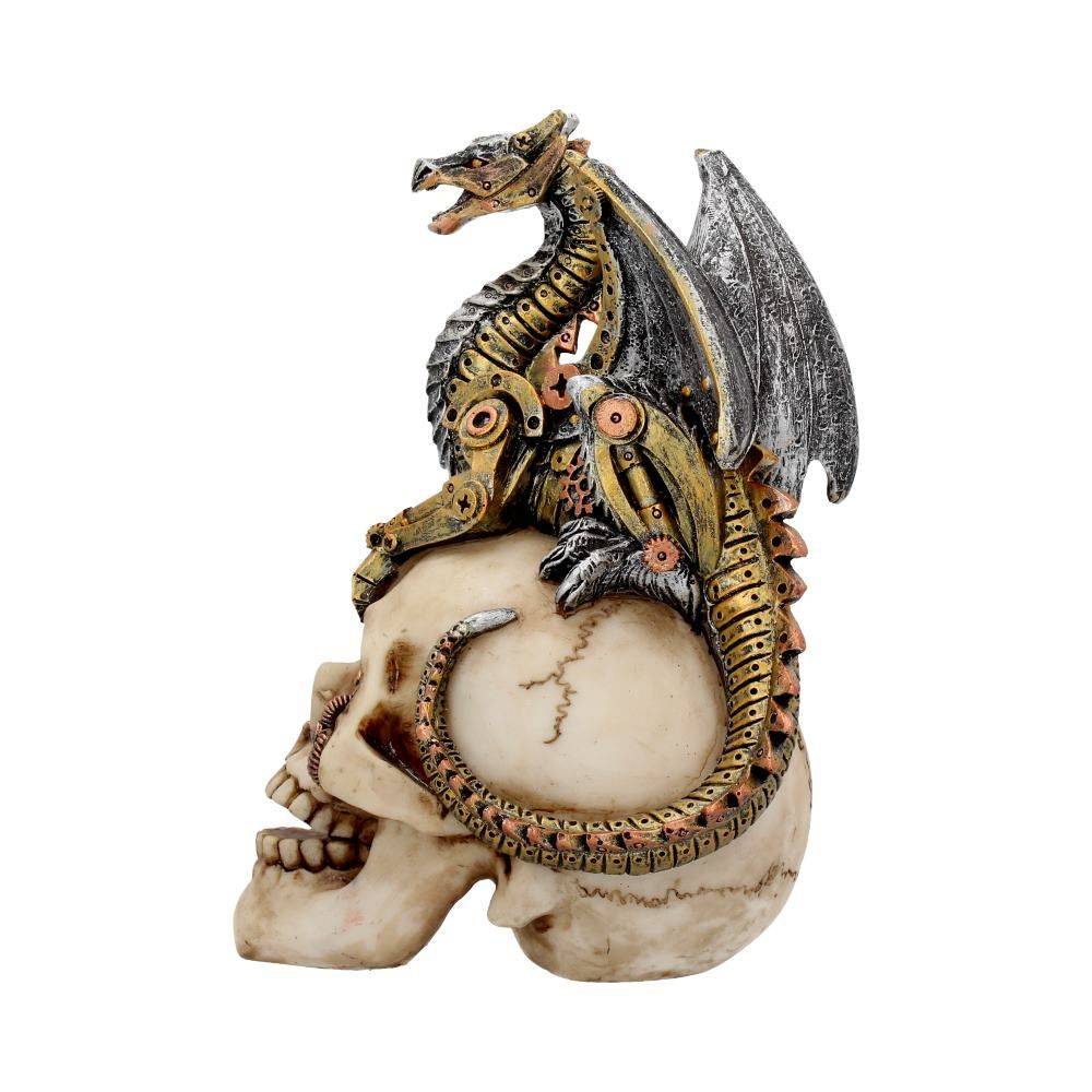 Nemesis Now - Dragon's Grasp 18.5cm Figurine - Skull - Multicolours